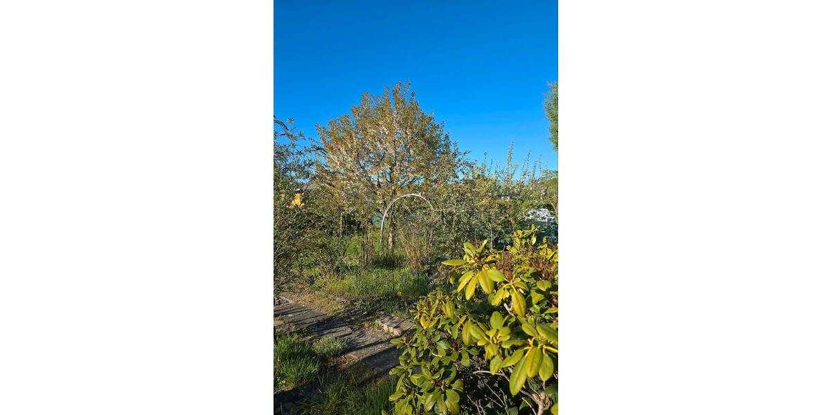 Grundstück Eilenburg - 1.500&euro; | Angebot:26337490