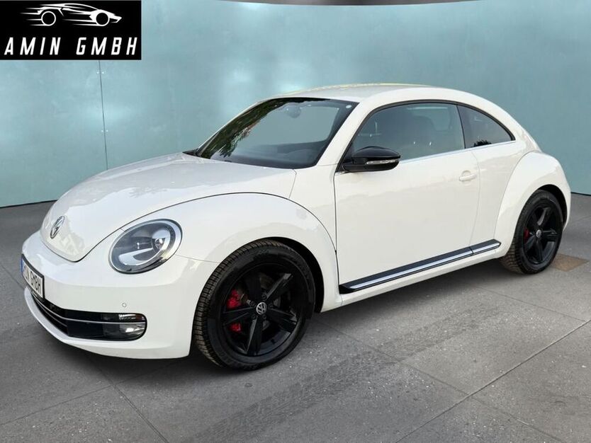 Beetle