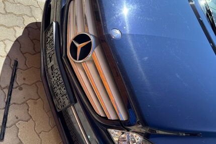 Mercedes-Benz 220 235.500 km 5.000 &euro; Oderaue 16259