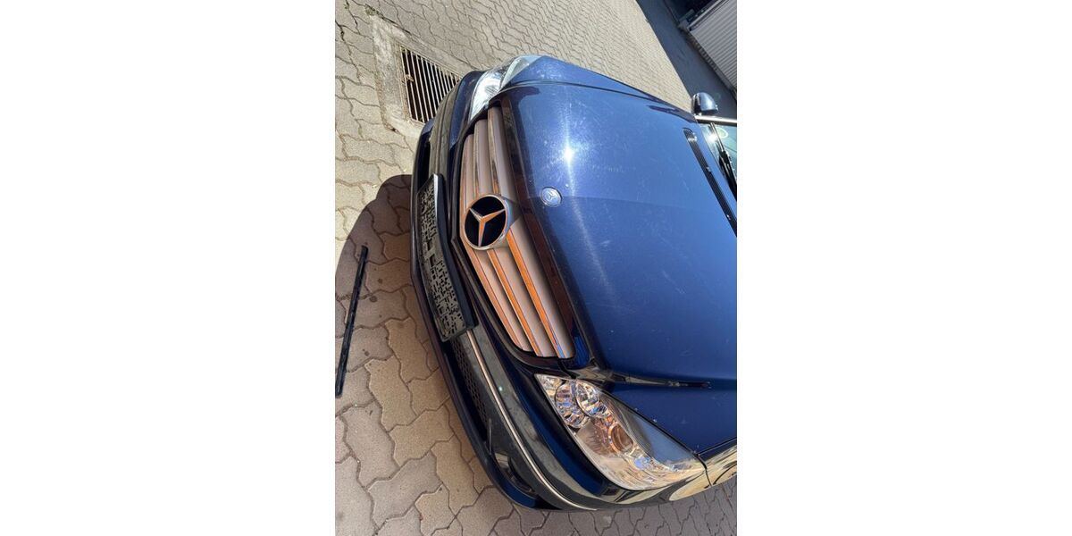 Mercedes-Benz 220 235.500 km 5.000 &euro; Oderaue 16259