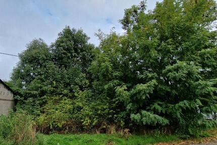 Grundstück Lebach - 102.900&euro; | Angebot:8770533