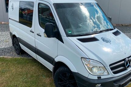 Mercedes-Benz Sprinter 433.800 km 7.399 &euro; Mockrehna 04862