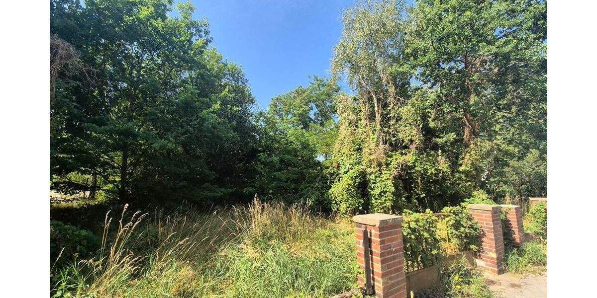 Grundstück Forst (Lausitz) Forst-Stadt - 12.350&euro; | Angebot:24967244