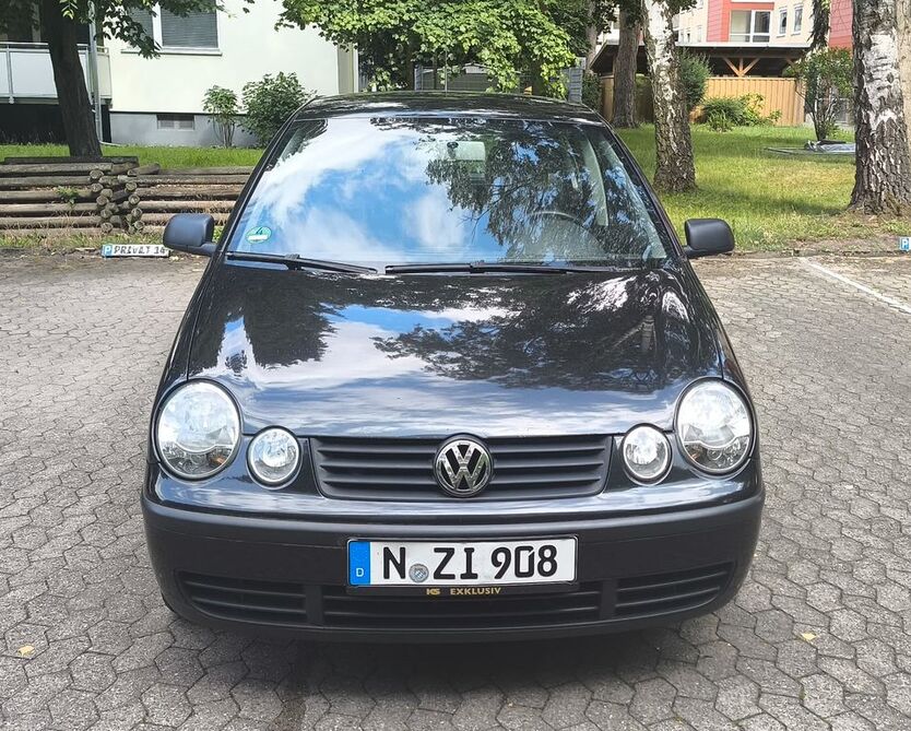 Polo