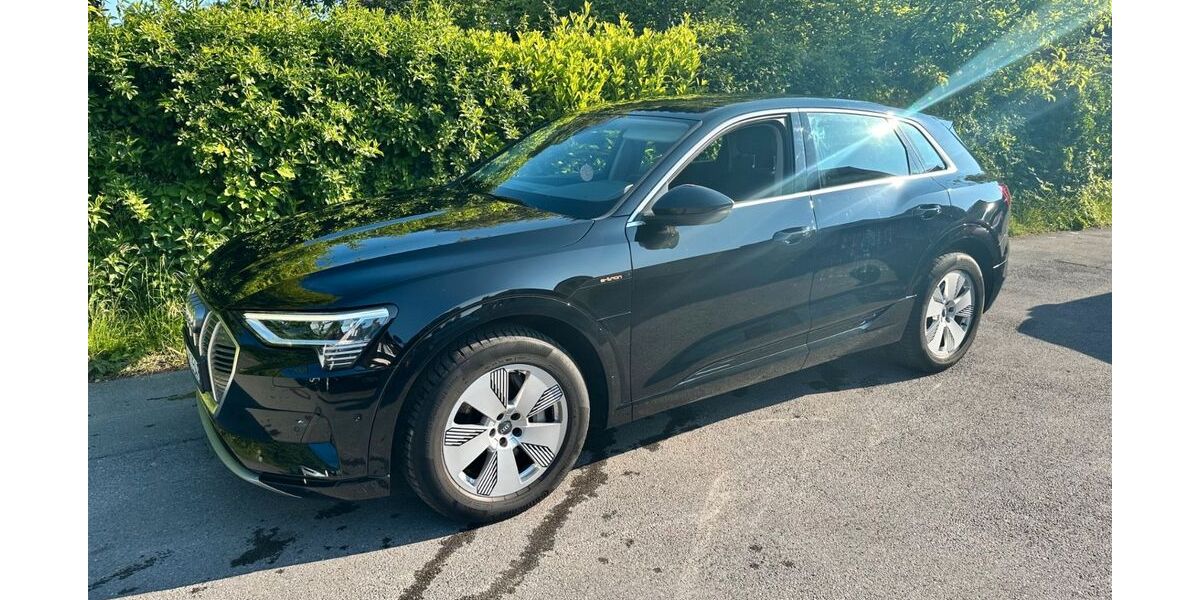 Audi e-tron 72.800 km 25.000 &euro; Haan 42781