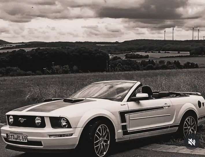 Mustang