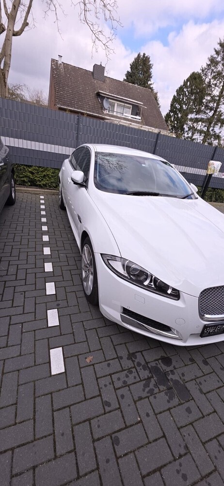 XF
