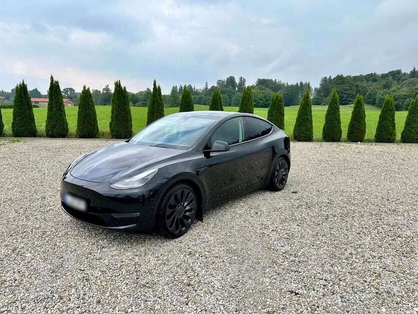 Model Y