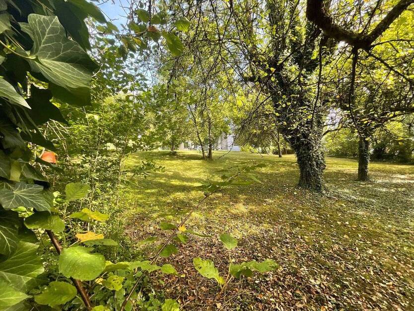 Seltene Gelegenheit -Exklusive Lage Grundstück in Amberg-Mariahilfberg mit Haus und Anbau