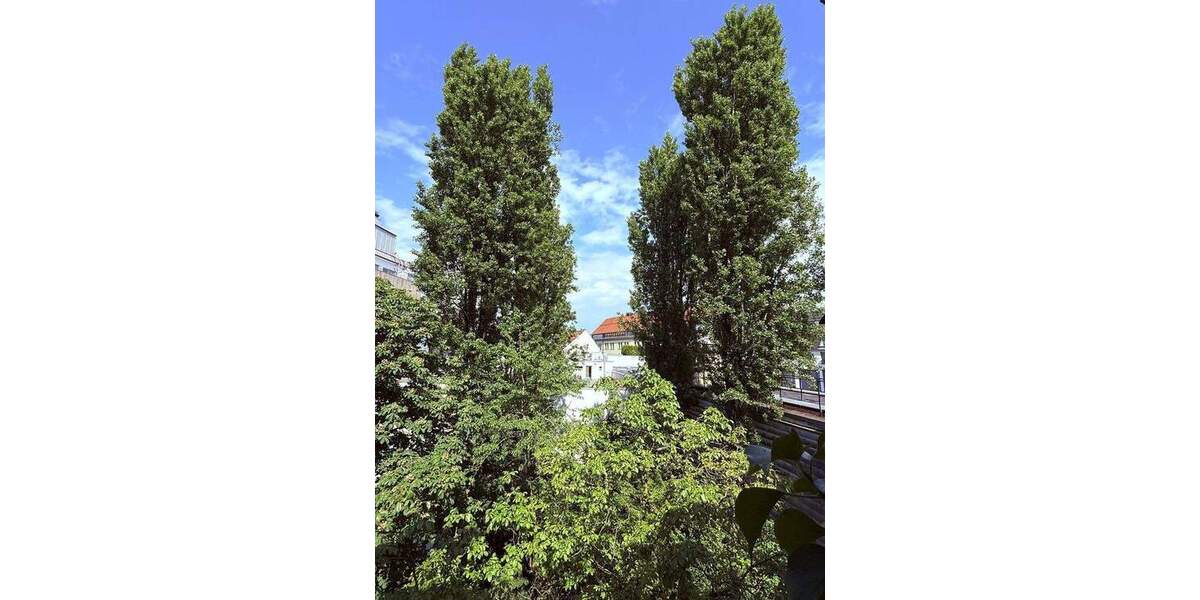 Hochwertige 4 Zi. Lehel am Isartor Bestlage. Exklusiv möbliert oder leer. 2 OG, Garten. Ab 3 Monaten 4 zimmer