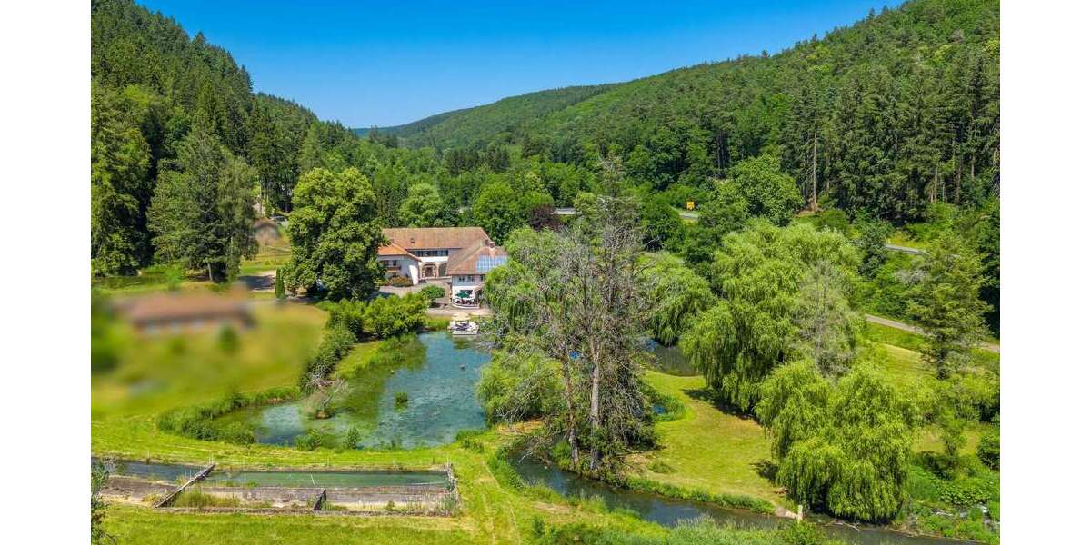 Gewerbeobjekt Hardheim - 1.290.000&euro; | Angebot:26967384