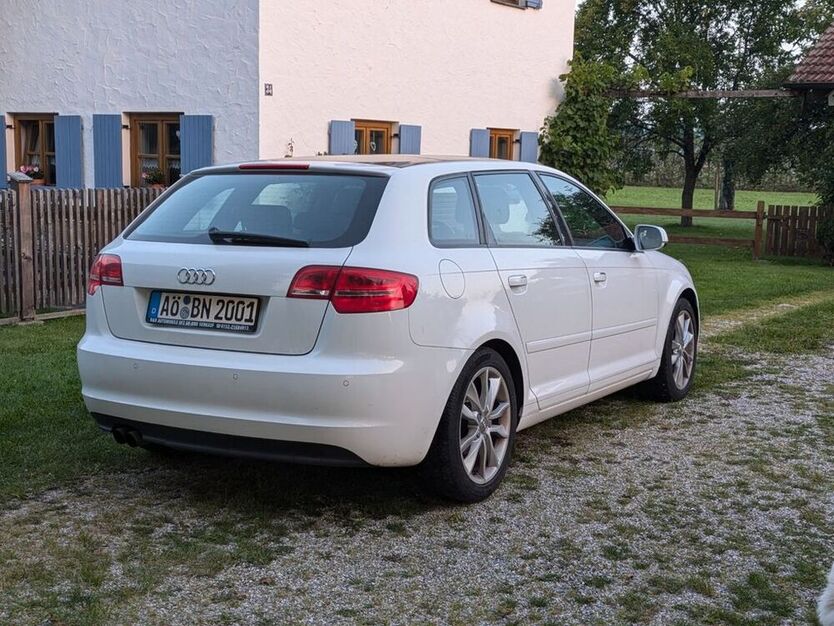 A3