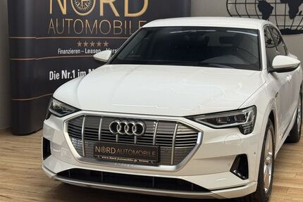 Audi e-tron 99.400 km 29.999 &euro; Rastede/ Wahnbek 26180