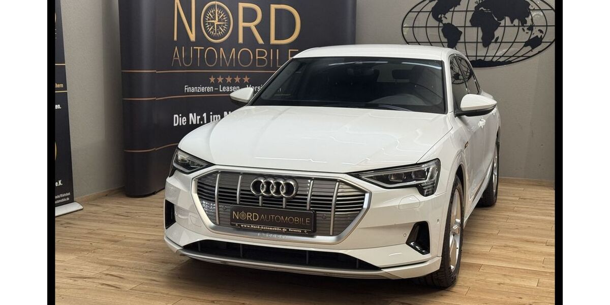 Audi e-tron 99.400 km 29.999 &euro; Rastede/ Wahnbek 26180