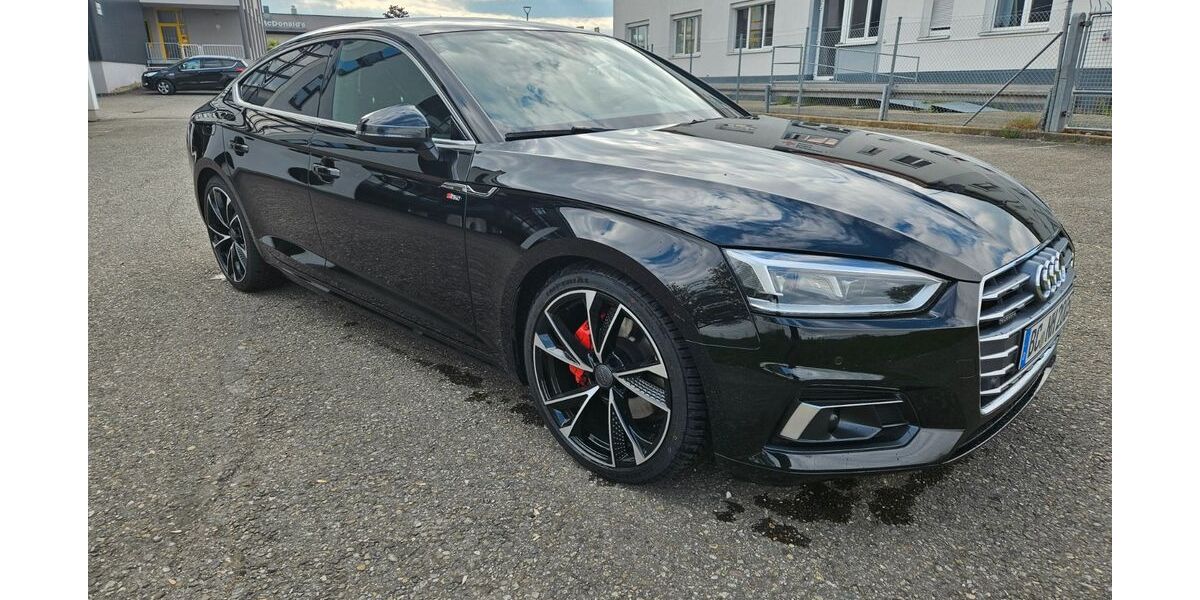 Audi A5 210.000 km 18.300 &euro; Biberach 88400