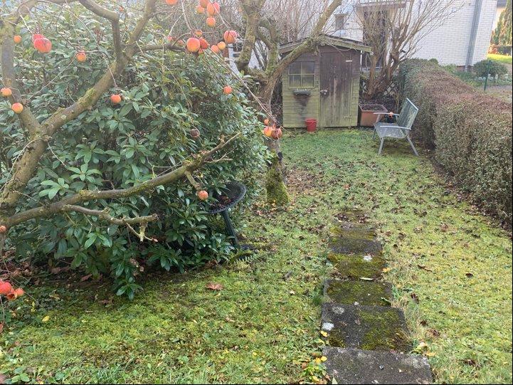 Reihenhaus Osterode am Harz - 4 Zimmer, 80 m&sup2;, 121.000&euro; | Angebot:26223367