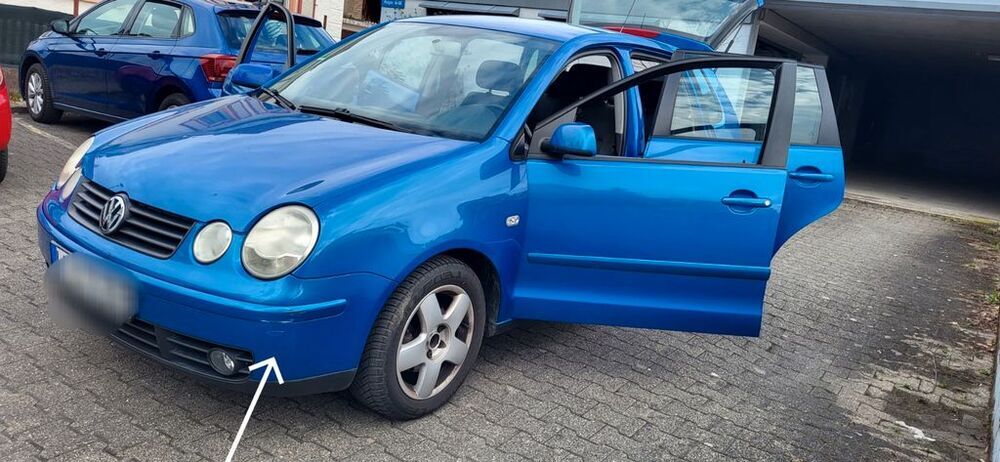 Polo