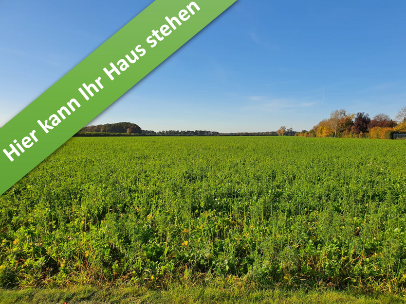 Haus zum Kaufen in Volkse 313.750 € 109 m²