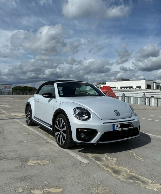 Beetle