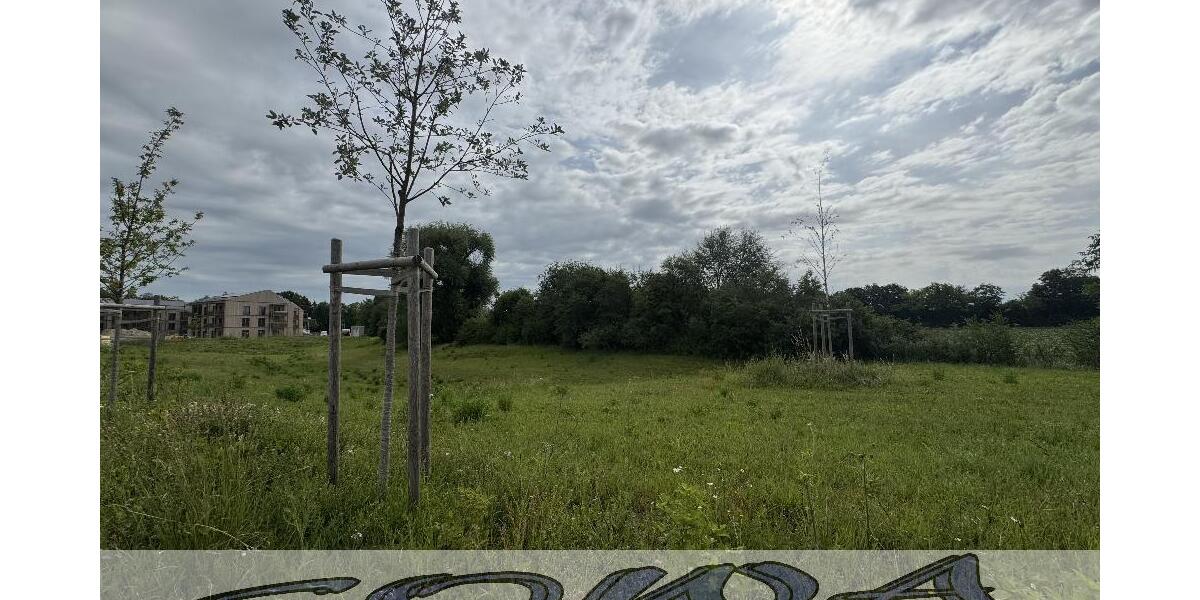 Baugrundstück Neuburg Heinrichsheim ohne Bauzwang - Ein Objekt von Ihrem Immobilienpartner SOWA Immobilien und Finanzen - Grundstück Neuburg | Angebot:27143414