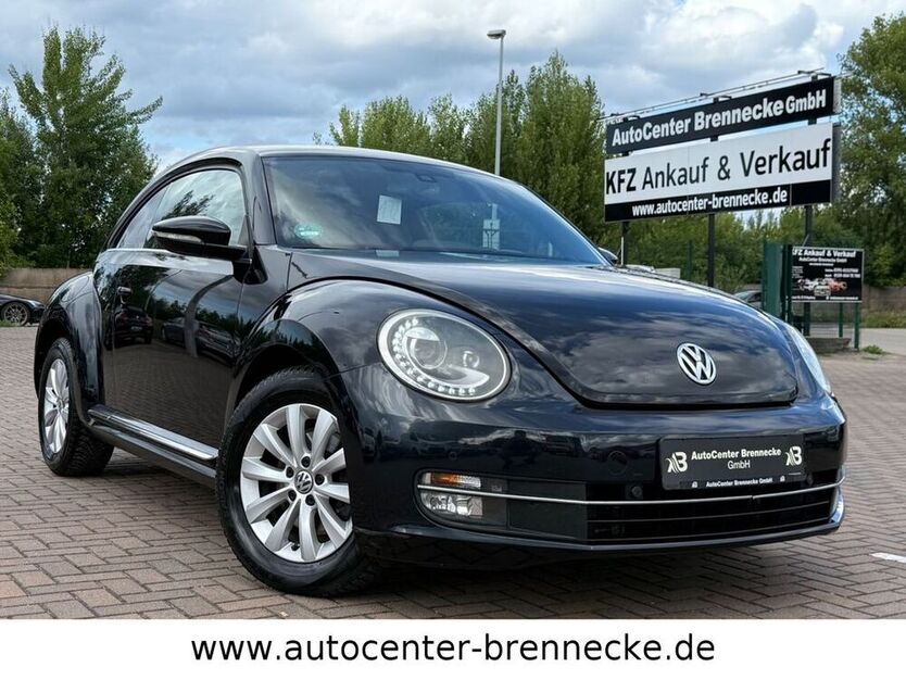 Beetle