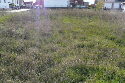 Grundstück Schwalmstadt-Treysa Treysa - 253.770&euro; | Angebot:26016199