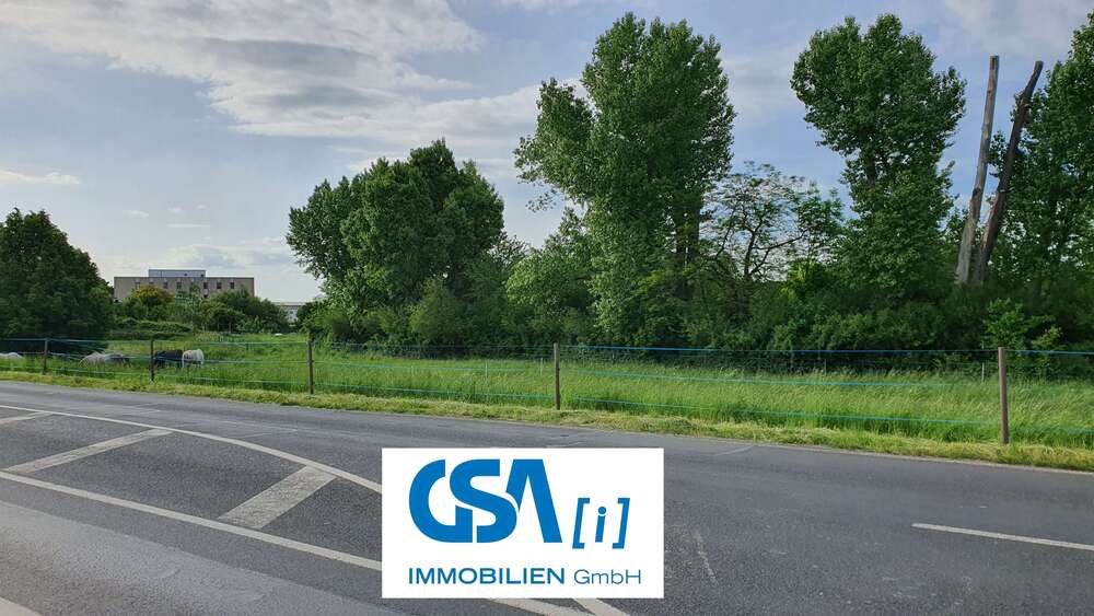 Grundstück in Coswig 60.000 € 7813 m² zimmer