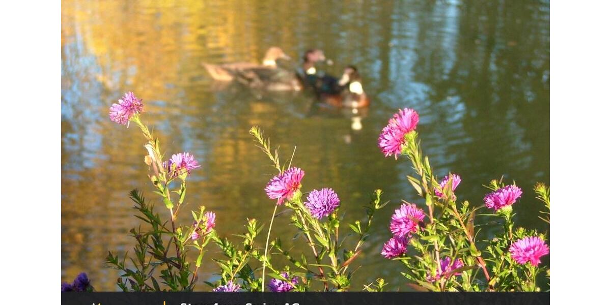 Etagenwohnung Wolnzach - 2 Zimmer, 82 m&sup2;, 950&euro; | Angebot:26302589