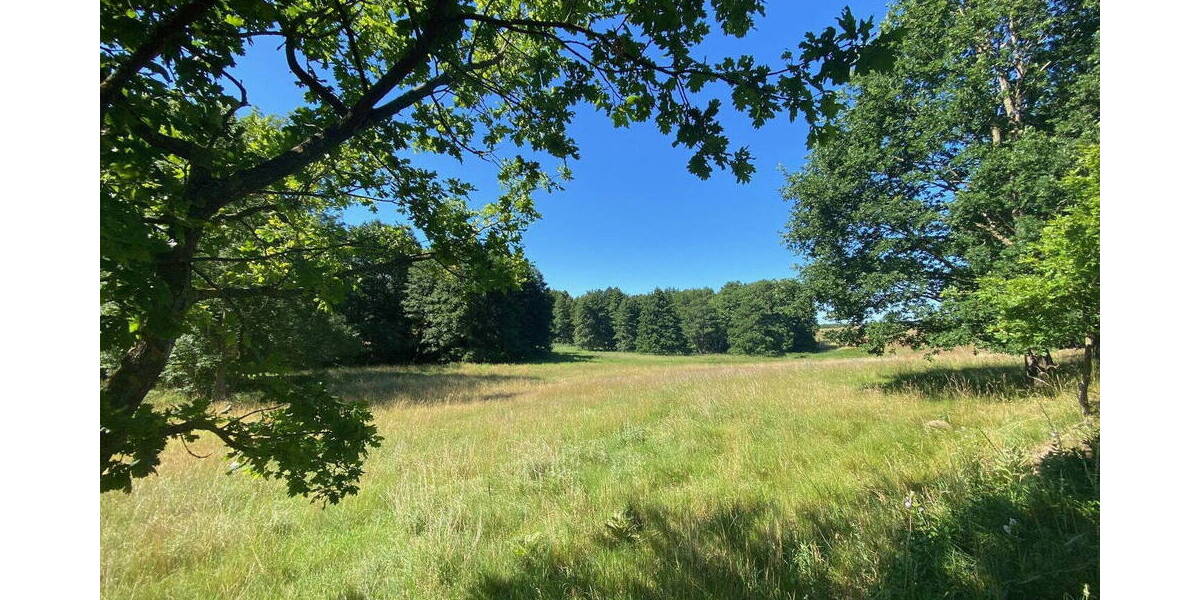 Einfamilienhaus Witzin - 4 Zimmer, 305 m&sup2;, 740.000&euro; | Angebot:25716256