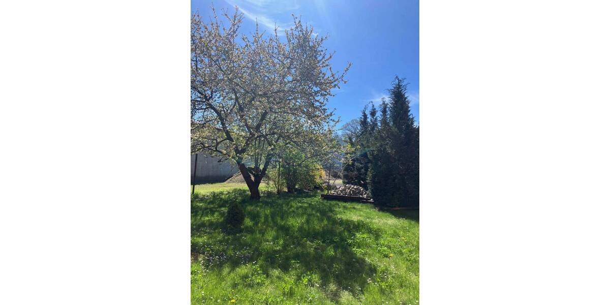 Bauernhaus, Landhaus Annaburg Premsendorf - 6 Zimmer, 109 m&sup2;, 69.000&euro; | Angebot:26343917