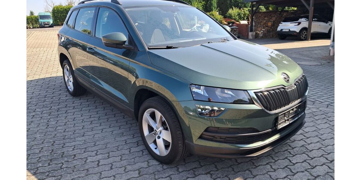 Skoda Karoq 99.995 km 16.999 &euro; Vierlinden OT Diedersdorf 15306