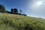 SONNIG, RUHIG & NATURNAH MIT AUSBLICK - Grundstück Riepsdorf | Angebot:26795057