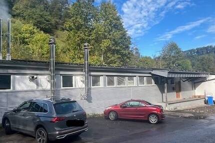 Gewerbeobjekt Sulz am Neckar Sulz - 4.500&euro; | Angebot:19319814