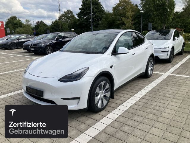 Model Y