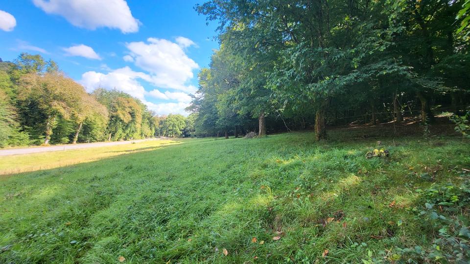 Bauernhaus, Landhaus Zweibrücken - 6 Zimmer, 160 m&sup2;, 290.000&euro; | Angebot:26343403