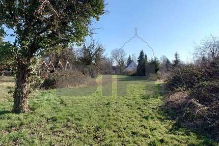 Grundstück zu verkaufen in Brehna 178.000 € 1975 m²