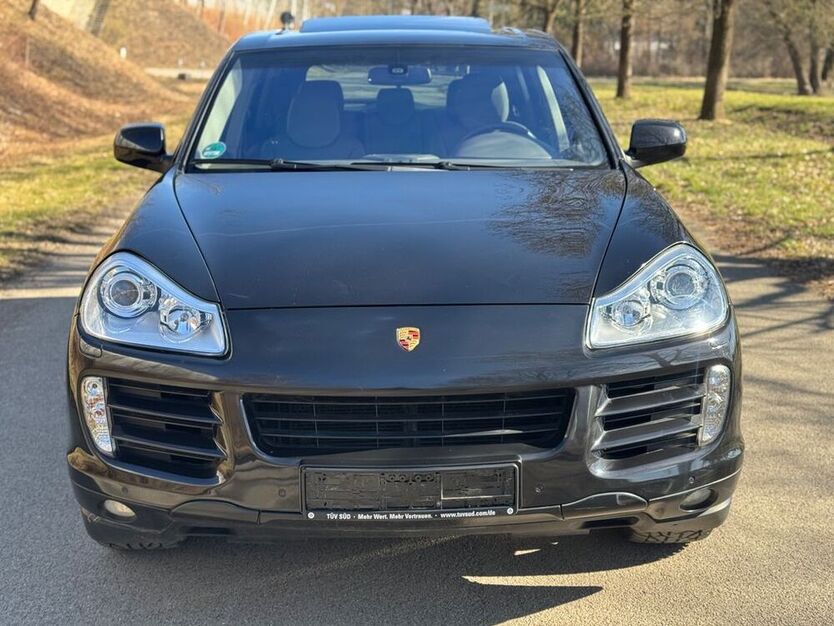 Cayenne