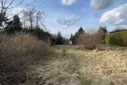 Grundstück Ottendorf-Okrilla Okrilla - 175.000&euro; | Angebot:25561595