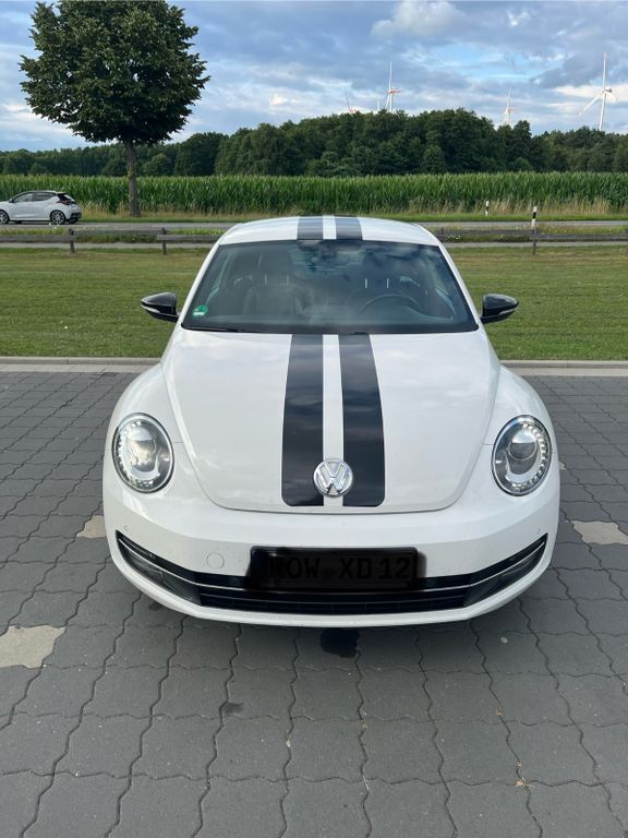Beetle