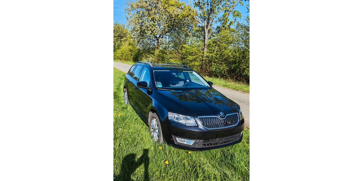 Skoda Octavia 130.731 km 12.800 &euro; Hallenberg 59969