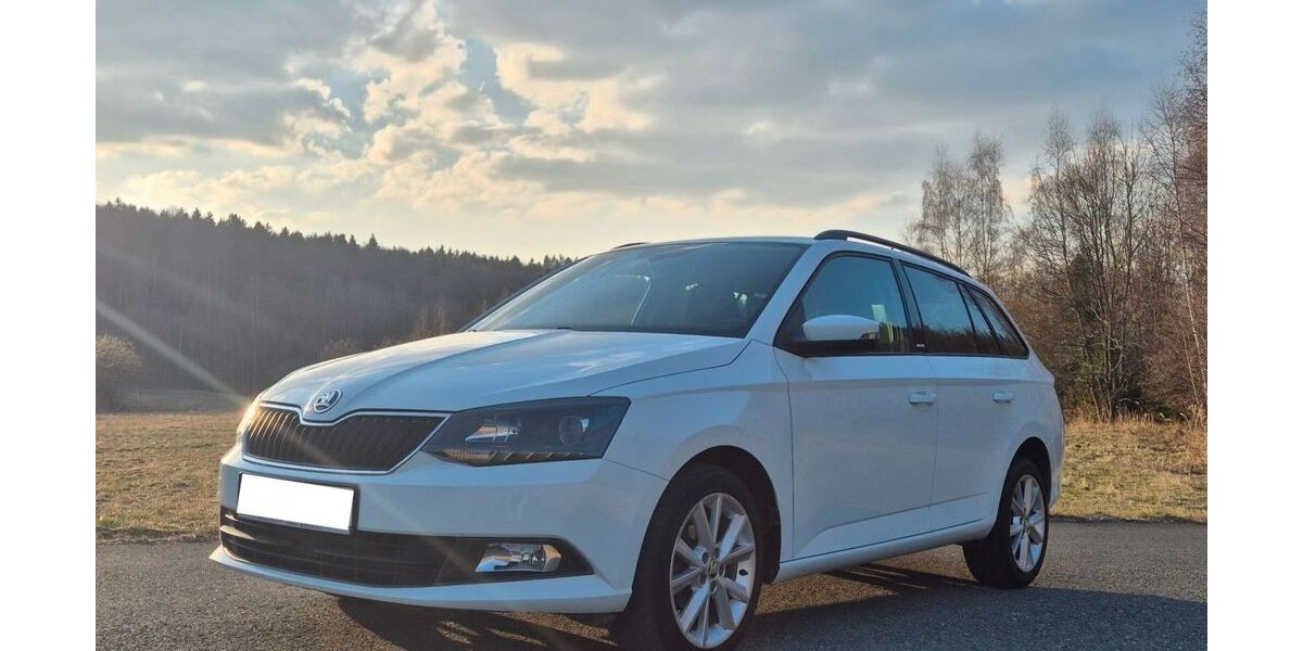 Skoda Fabia 142.500 km 7.800 &euro; Schwarzenberg /Erzgeb. 08340