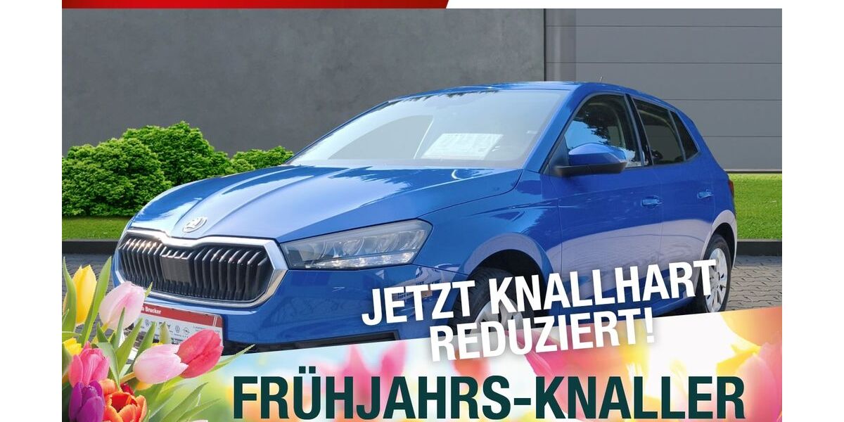 Skoda Fabia 122.570 km 11.470 &euro; Marktredwitz 95615