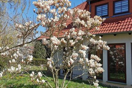 Haus Neuenhagen bei Berlin - 6 Zimmer, 150 m&sup2;, 4.900&euro; | Angebot:24623023