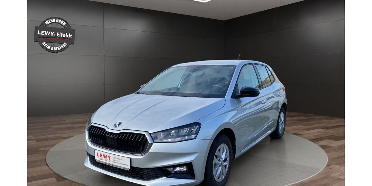 Skoda Fabia 74.448 km 13.900 &euro; Elsterwerda 04910