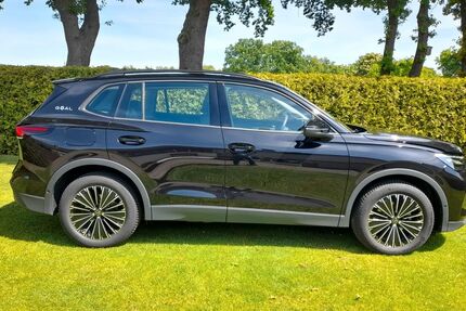 VW Tiguan 15.500 km 33.900 € Brome 38465