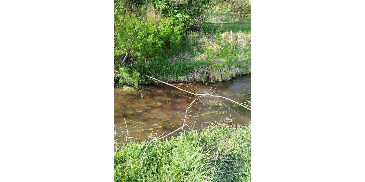 Grundstück Melbeck - 170&euro; | Angebot:26135414
