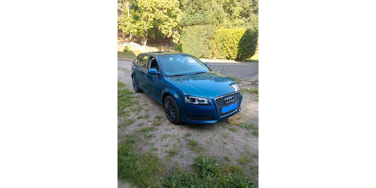 Audi A3 257.000 km 3.500 &euro; Oderwitz 02791