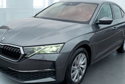 Skoda Octavia 9.000 km 29.190 &euro; Blankenfelde- Mahlow 15831
