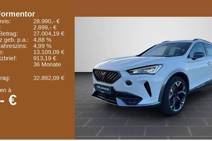 Cupra Formentor 27.130 km 28.990 &euro; Bingen / Rhein 55411
