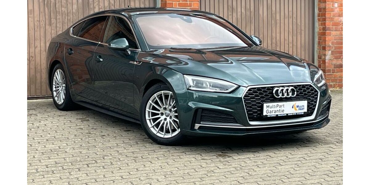 Audi A5 190.000 km 17.899 &euro; Geesthacht (bei Hamburg) 21502